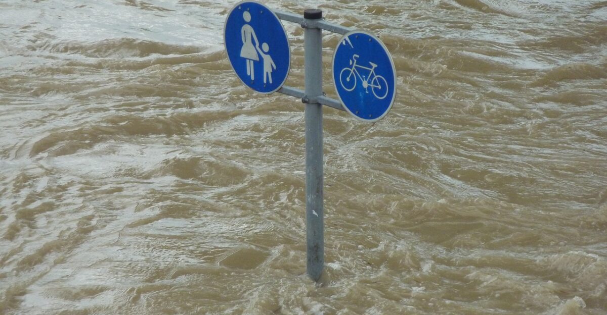 flood sign downfall water nature flooding flooded environment catastrophe pedestrian cyclist danube natural disaster environmental protection storm danube bank riverbank force of nature climate protection water level flow riverside flood of the century civil protection climate change flood disaster earth day