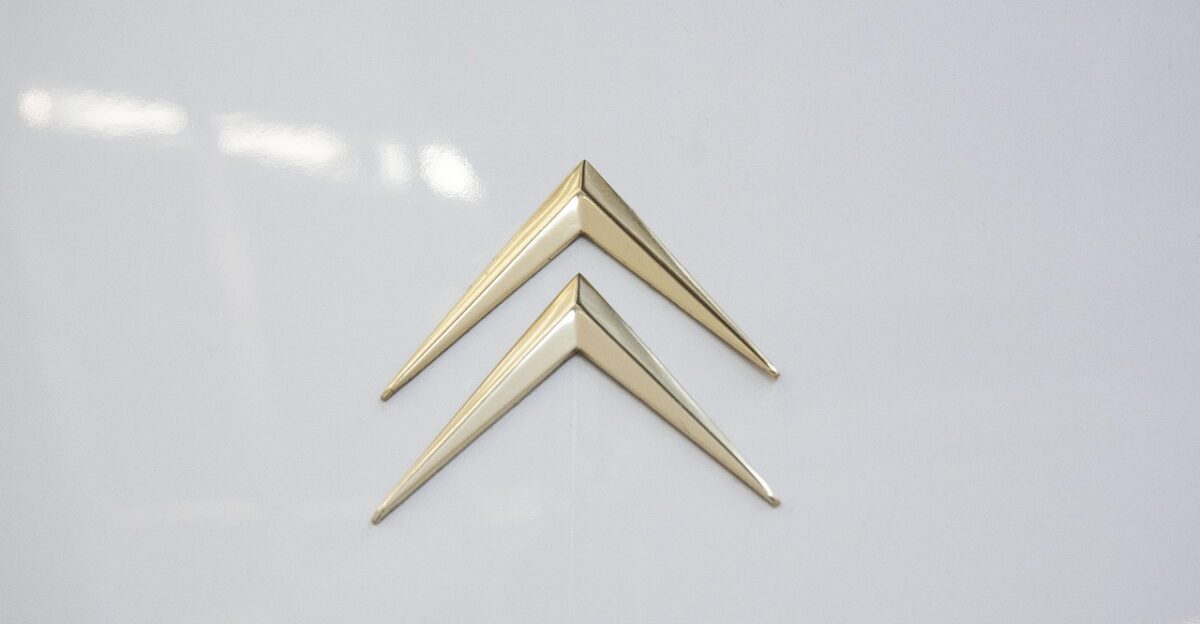 citro n ds 21 automobile coat of arms signet logo brand logo logo logo logo logo