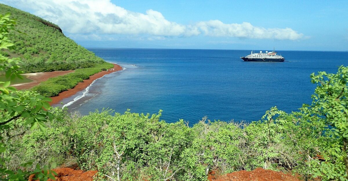 galapagos r bida galapagos islands island cruise ship volcanic island ecuador gal pagos pacific galapagos galapagos galapagos galapagos galapagos galapagos islands galapagos islands galapagos islands galapagos islands