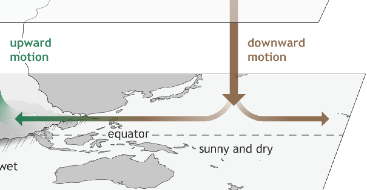 The surface and upper-atmosphere structure of the Madden-Julian oscillation MJO for a period when the enhanced convective phase thunderstorm cloud is centered across the Indian Ocean and the suppressed convective phase is centered over the west-central Pacific Ocean Horizontal arrows pointing left represent wind departures from average that are easterly and arrows pointing right represent wind departures from average that are westerly The entire system shifts eastward over time eventually circling the globe and returning to its point of origin